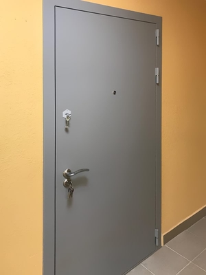 Дверь для квартиры (г. Балашиха, ул. Школьная, д.17) Дверь для квартиры (г. Балашиха, ул. Школьная, д.17)